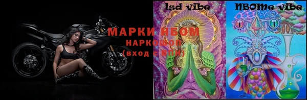 PSILOCYBIN Костерёво