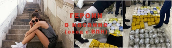 индика Кинешма