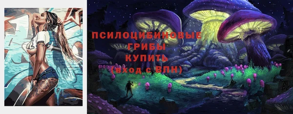 круглые Козельск