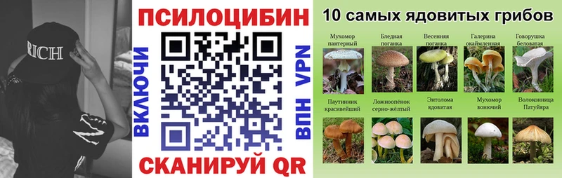 Псилоцибиновые грибы Psilocybe Белый
